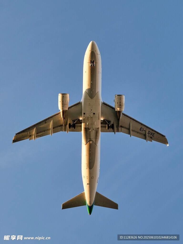 空中翱翔的大型客機(jī)