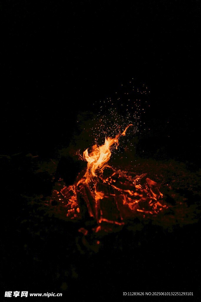 夜晚篝火熊熊燃燒