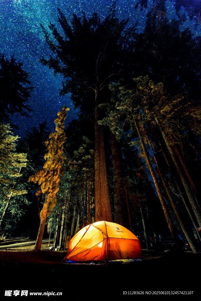 夜晚森林中的橙色露營帳篷