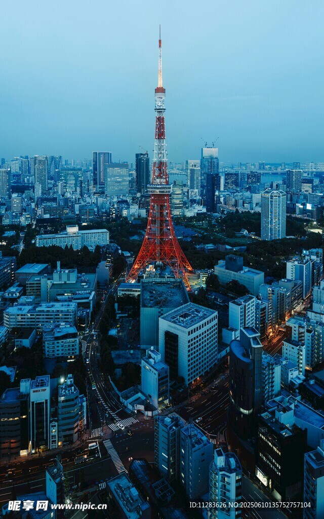 東京城市夜景中的塔