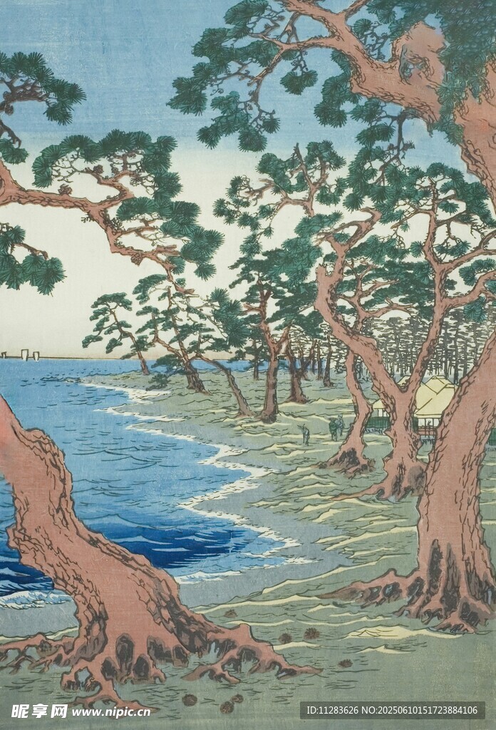 海邊松樹林風景圖