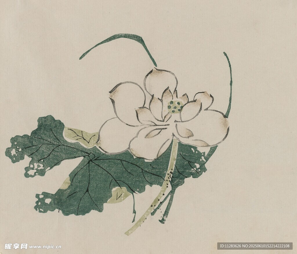 水墨花卉圖