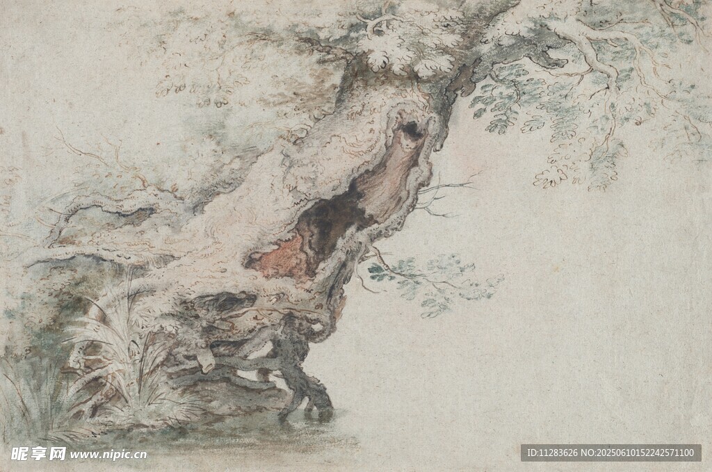 古木蒼勁圖