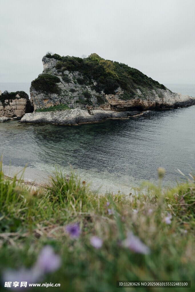 海邊孤巖與爛漫小花