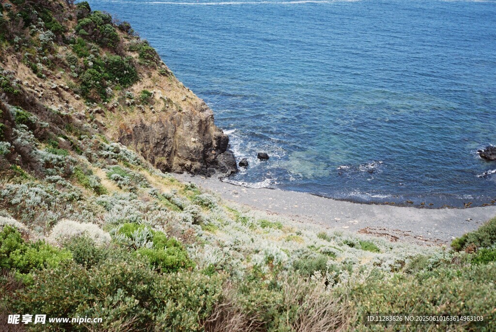 海岸邊的綠植與藍(lán)色大海