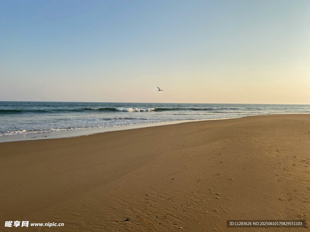 金色沙灘與海浪的美麗景致