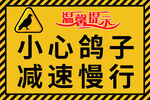 鴿子警示小心鴿子減速慢行