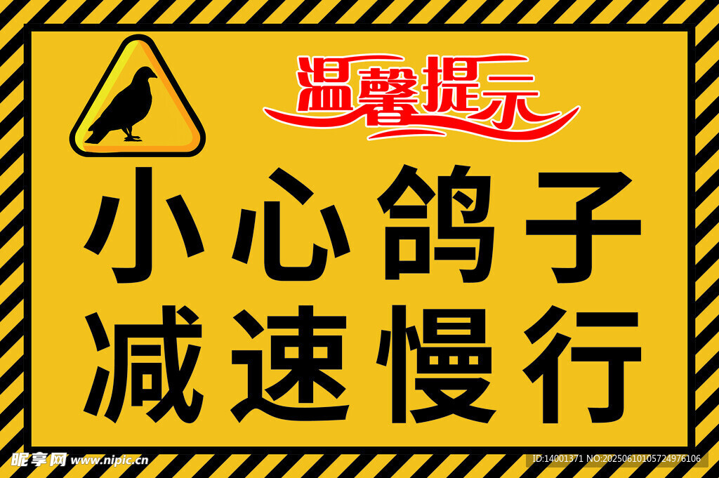 鴿子警示小心鴿子減速慢行