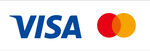 VISA 信用卡標志