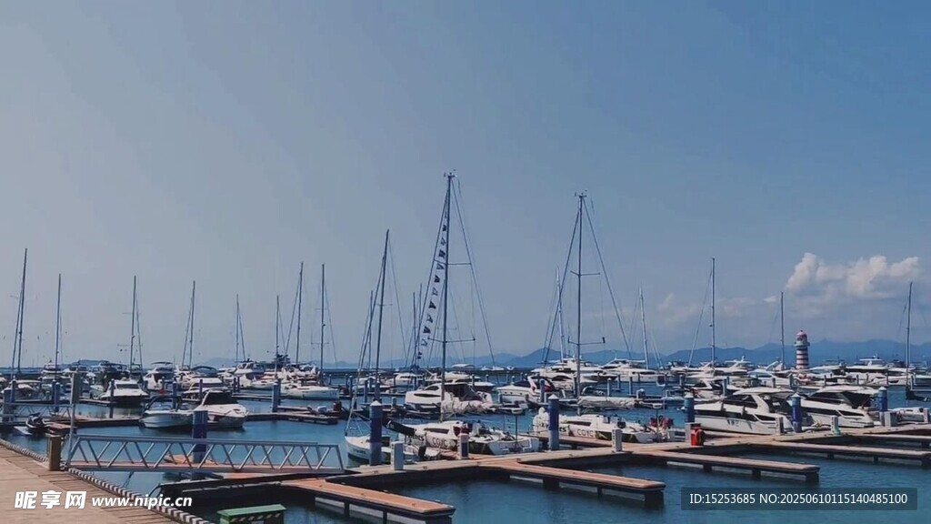 寧靜海港中的林立帆船