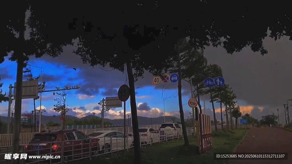 夜幕下的城市林蔭景觀