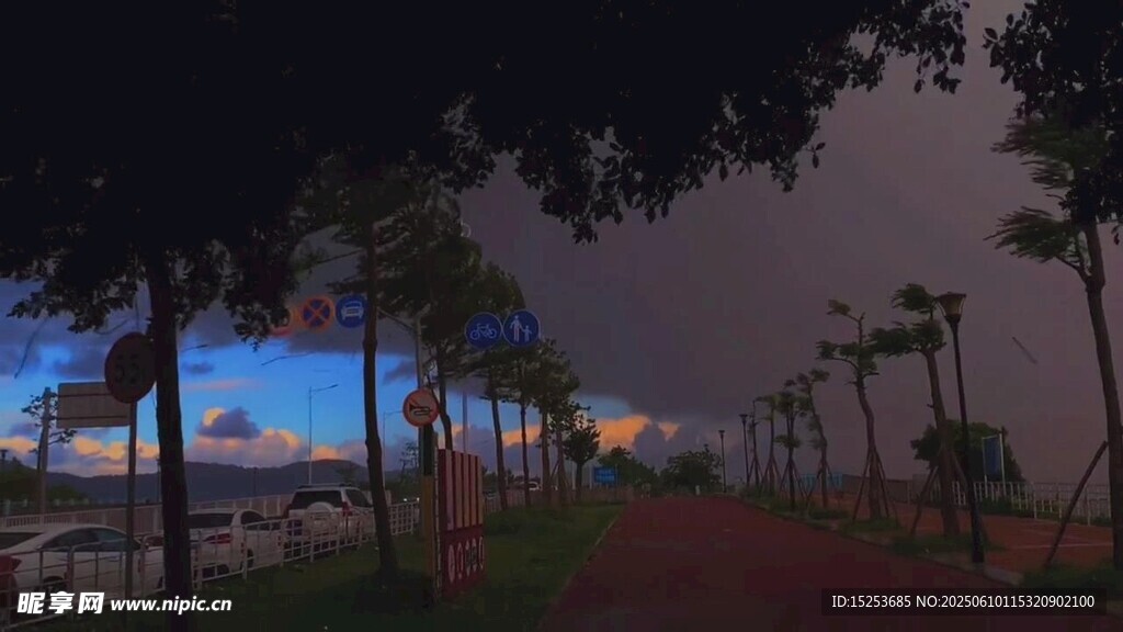 黃昏下的林蔭道路景觀