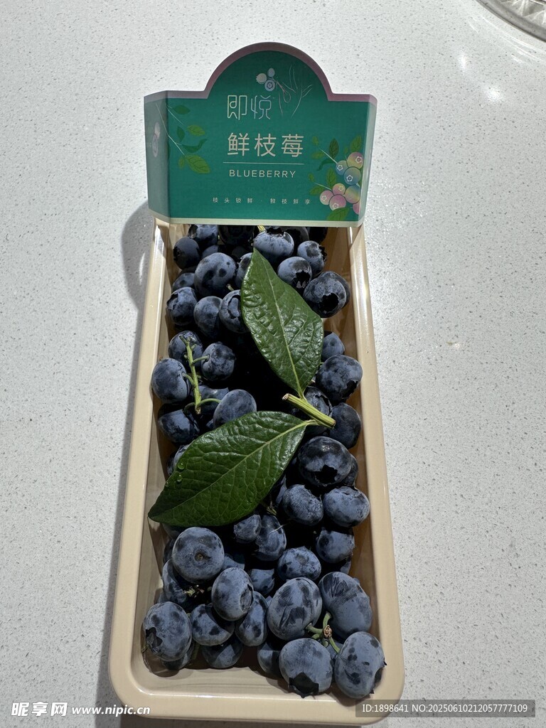 帶枝藍莓