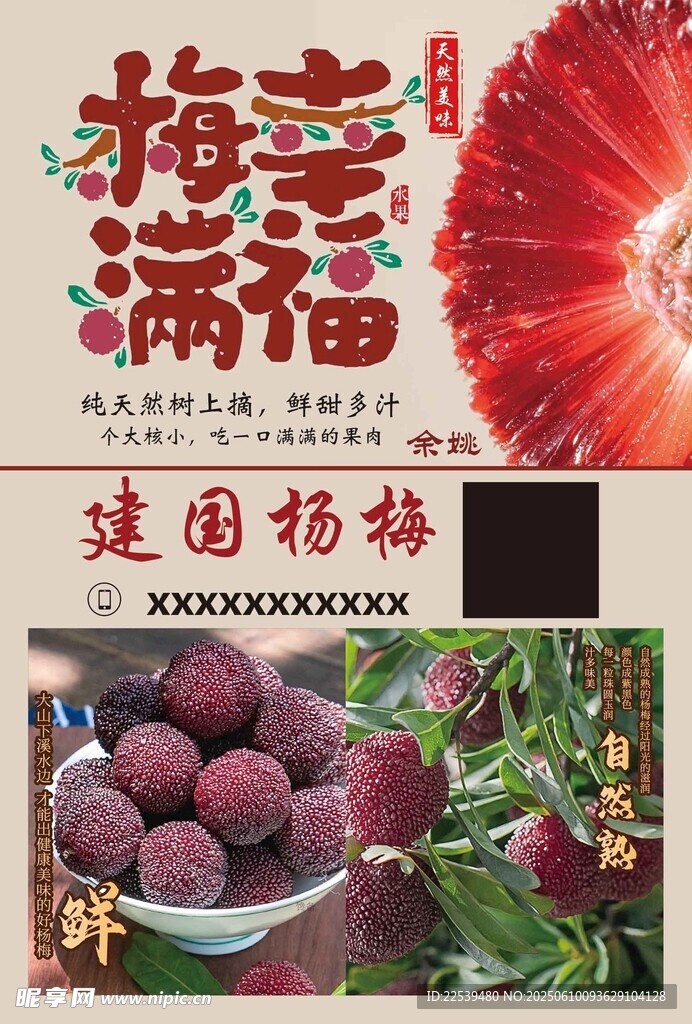 楊梅