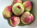新鮮水蜜桃擺放在盤中