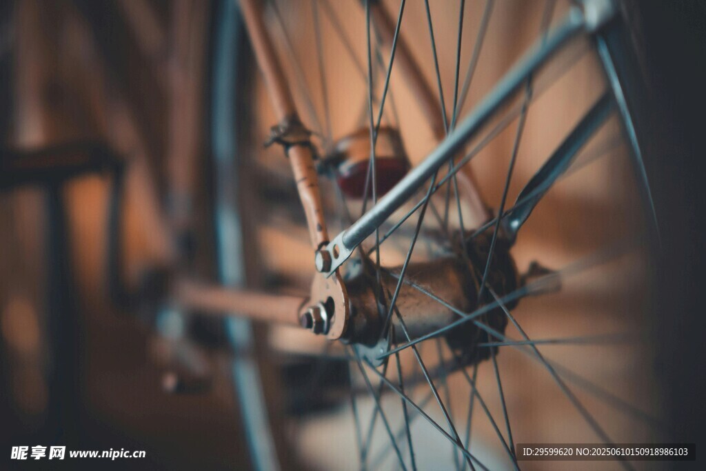 自行車后輪細節特寫