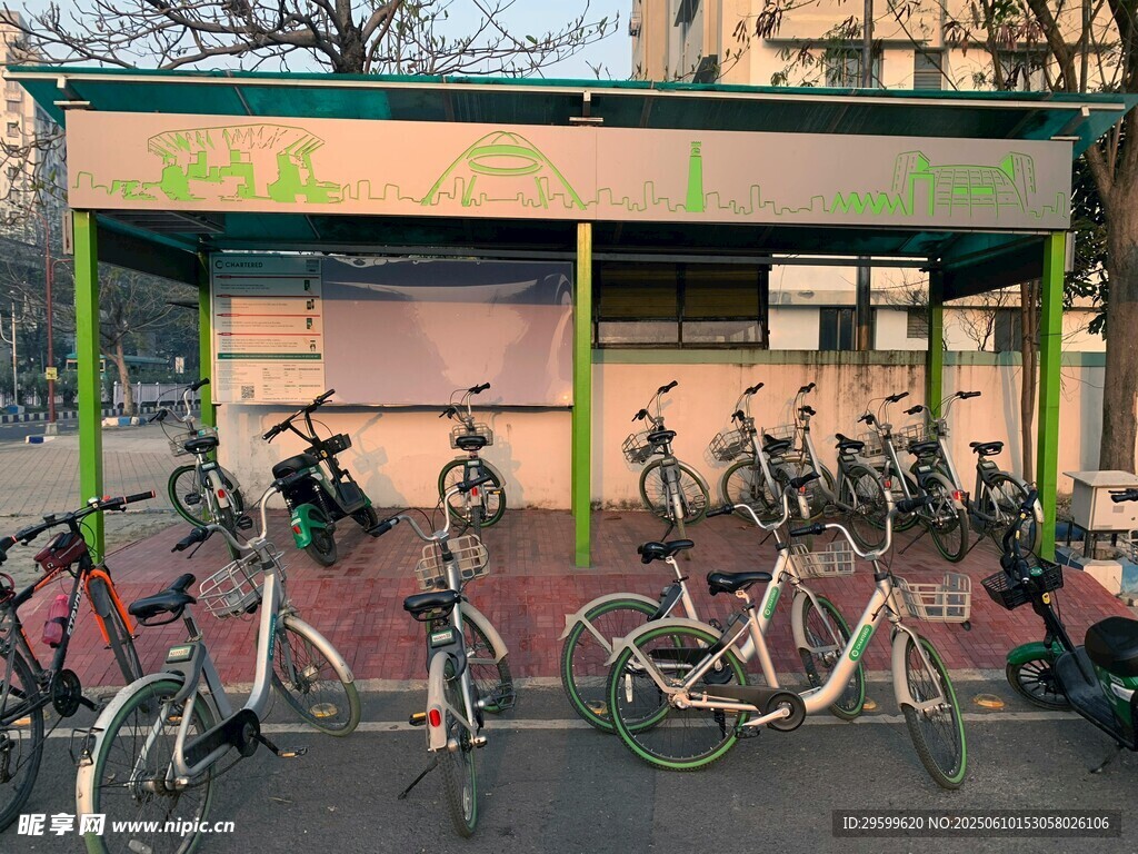 戶外停放的多輛自行車