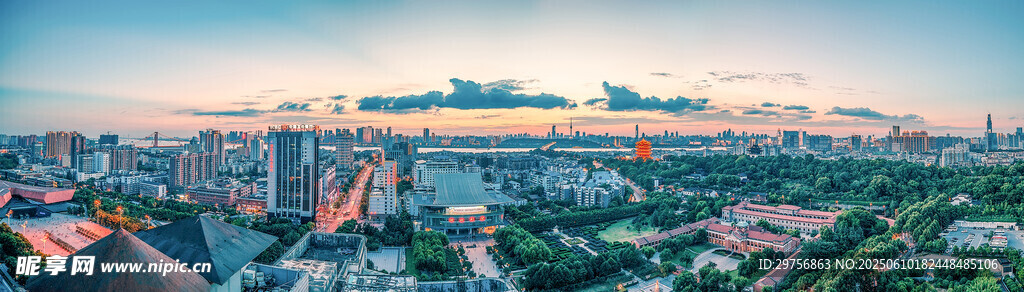 城市天際線與綠樹(shù)景觀
