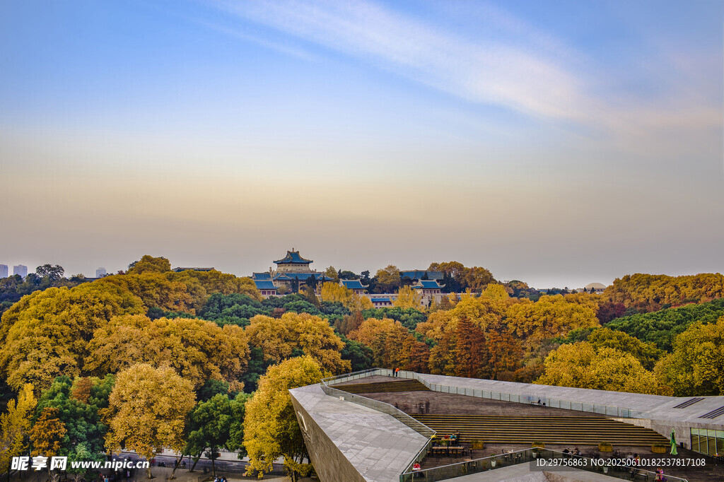 秋日城市樹梢上的斑斕景色