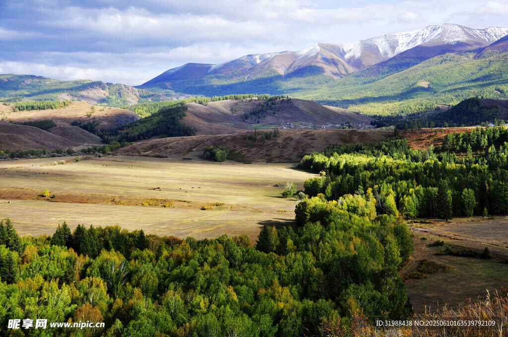 廣袤山林與遠(yuǎn)處山巒美景
