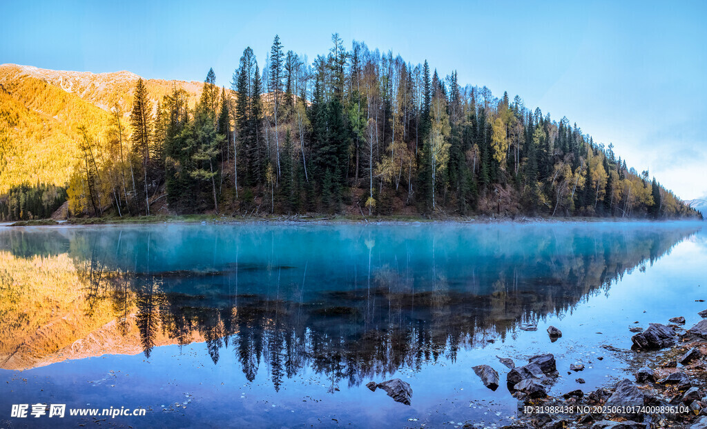 湖畔松林美景