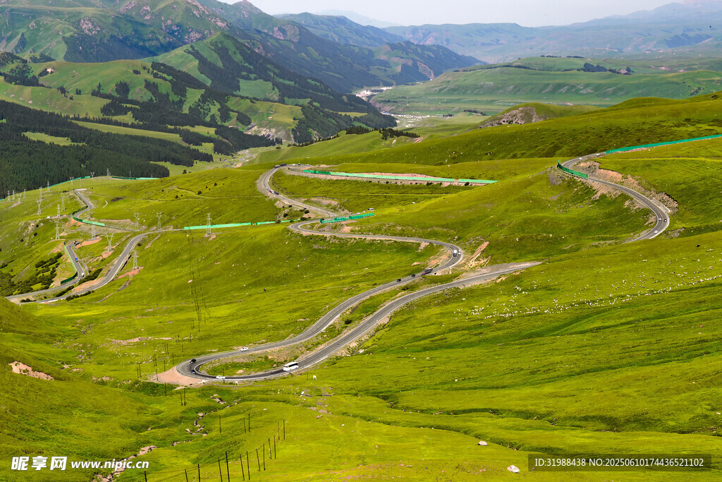 山間蜿蜒公路綠野美景