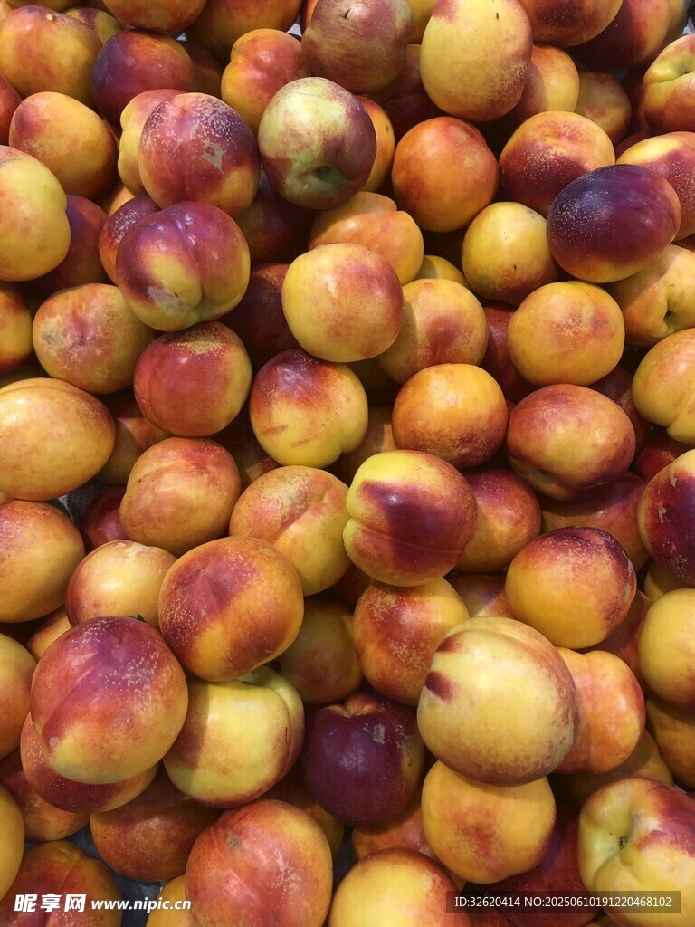 桃子 油桃