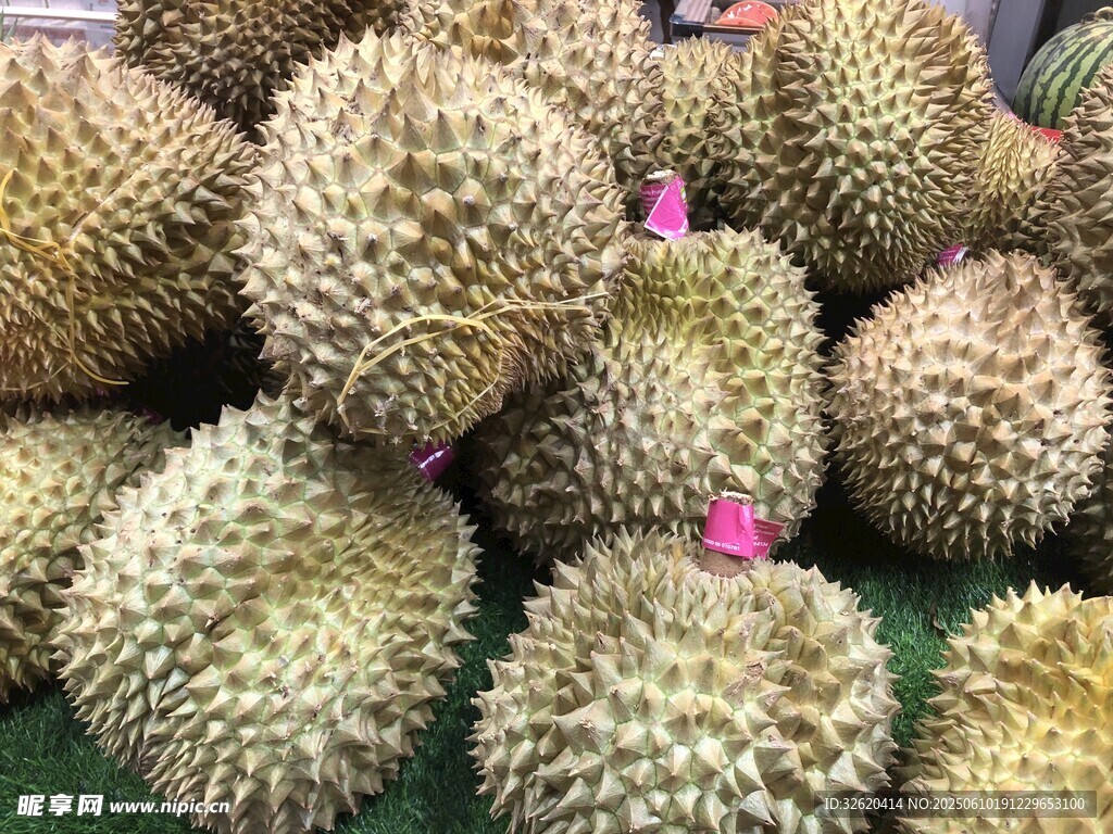 榴蓮 