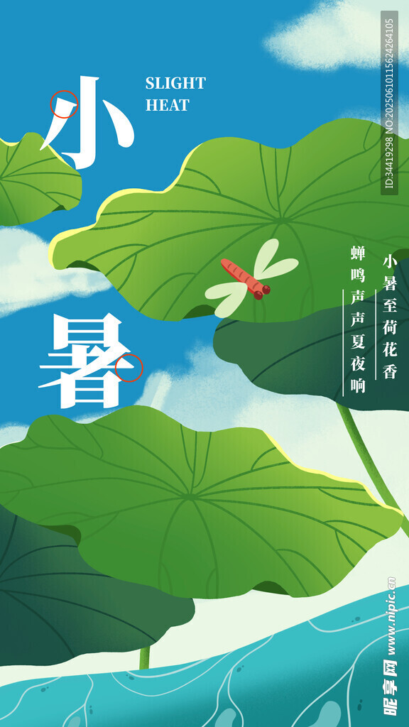 小暑時節的荷塘美景