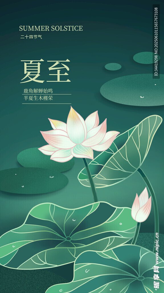 夏至荷花圖