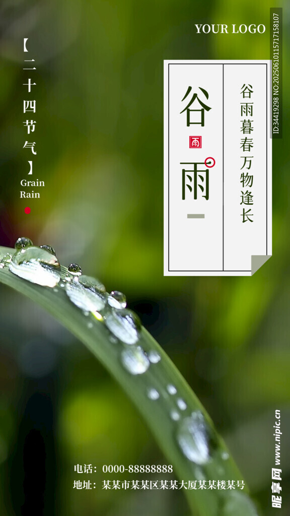 谷雨時(shí)節(jié)葉尖晶瑩水珠