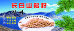 松籽仁廣告貼