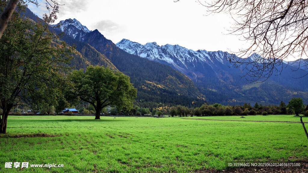 山間綠野邂逅自然美景