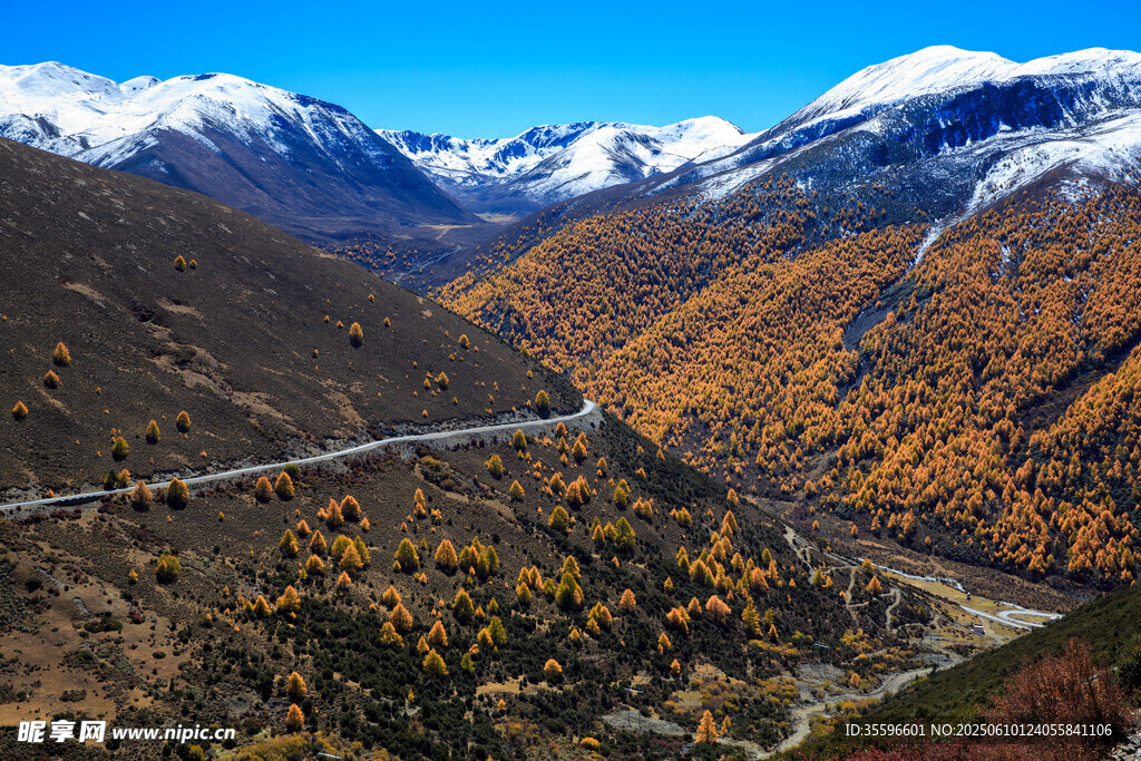 秋日山間公路美景如畫