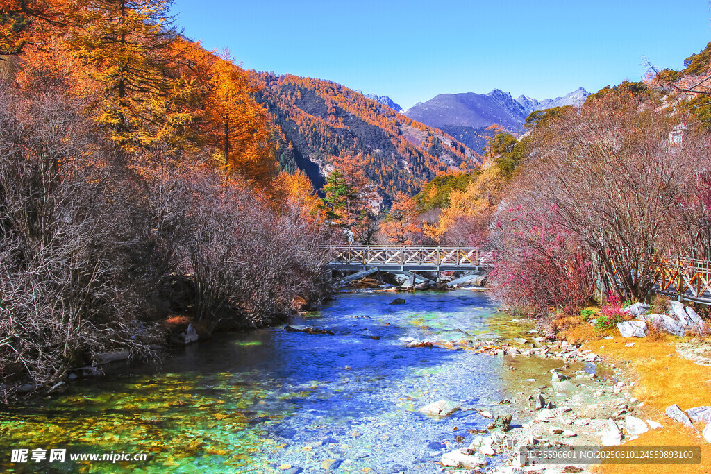 秋日山間溪流美景