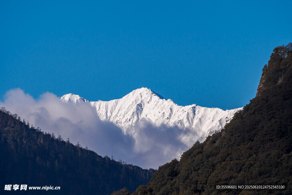 巍峨雪山與蔥郁山巒