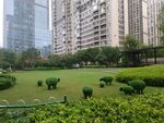 城市中的靜謐綠地景觀