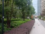 城市林蔭步道景觀