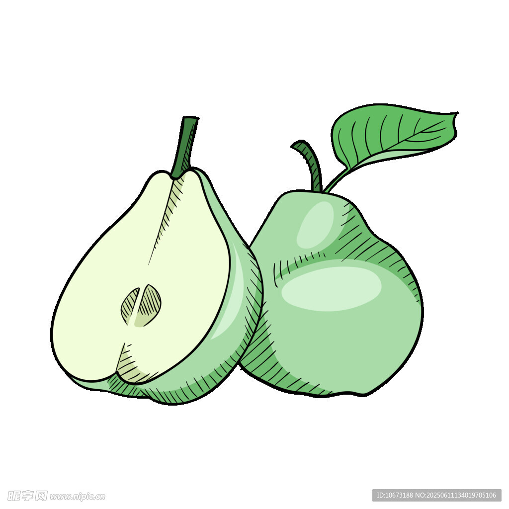 兩個青梨插畫