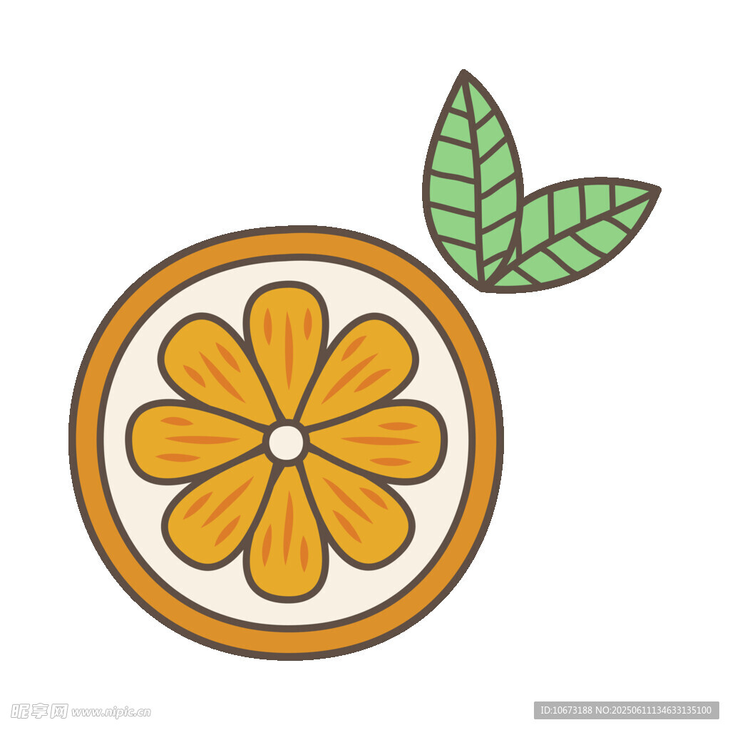 橙子切片插畫