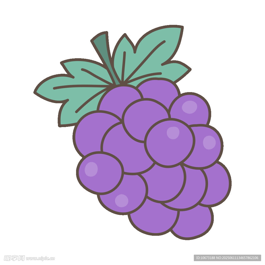 紫色葡萄插畫