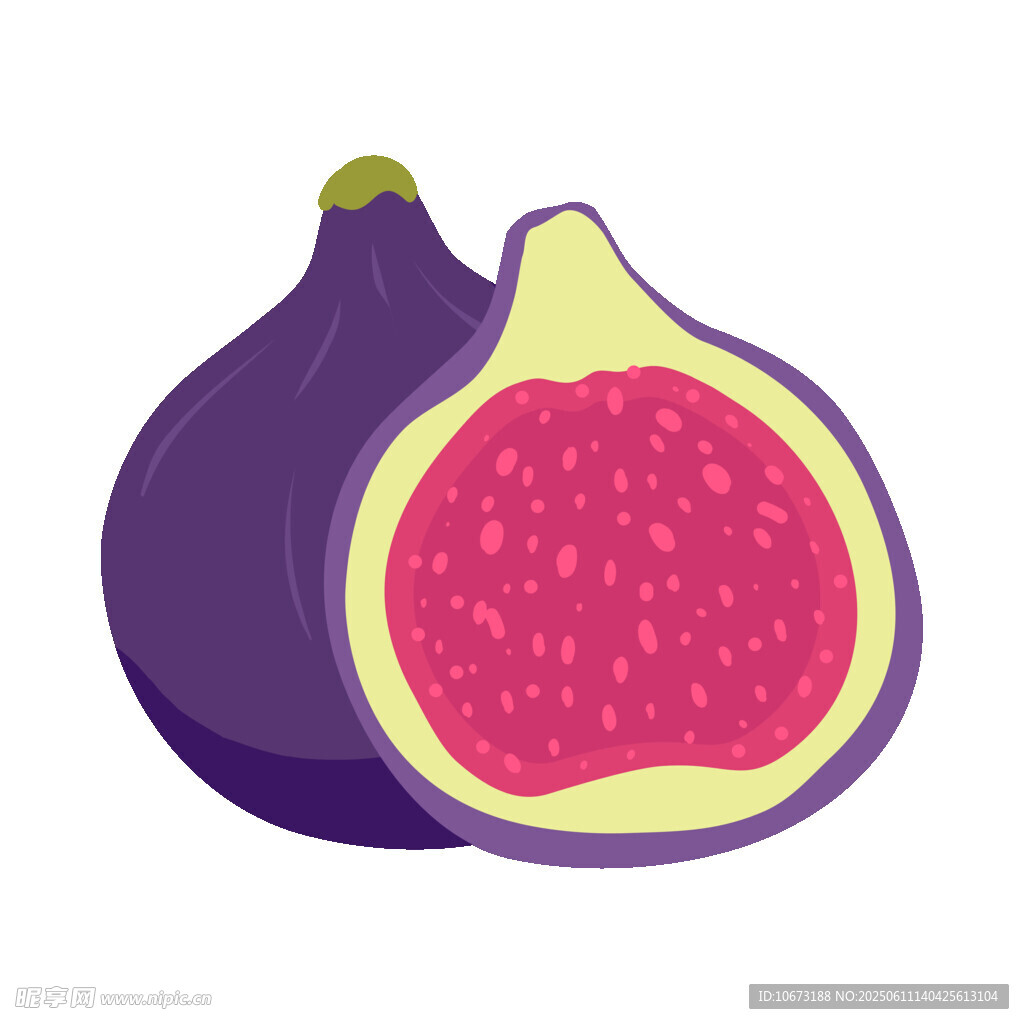 紫色無(wú)花果