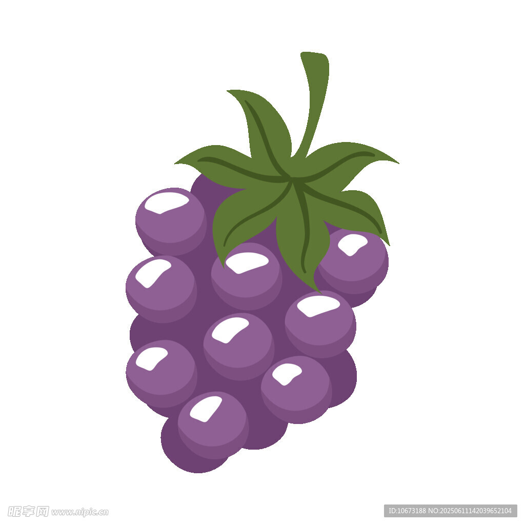 紫色桑葚插畫