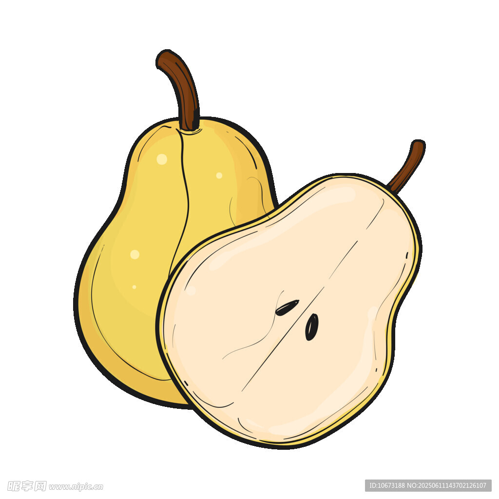 兩個梨子插畫