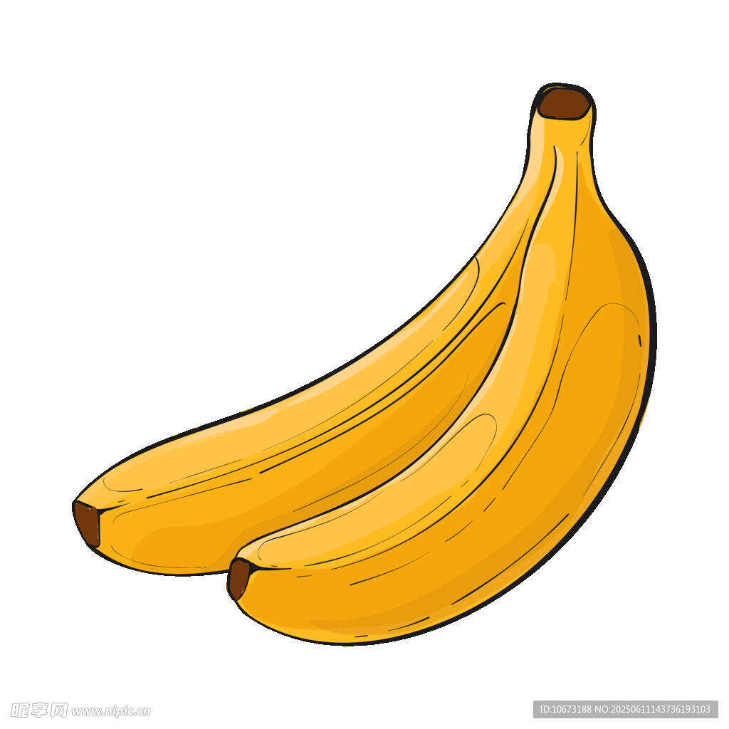 兩根黃色香蕉插畫