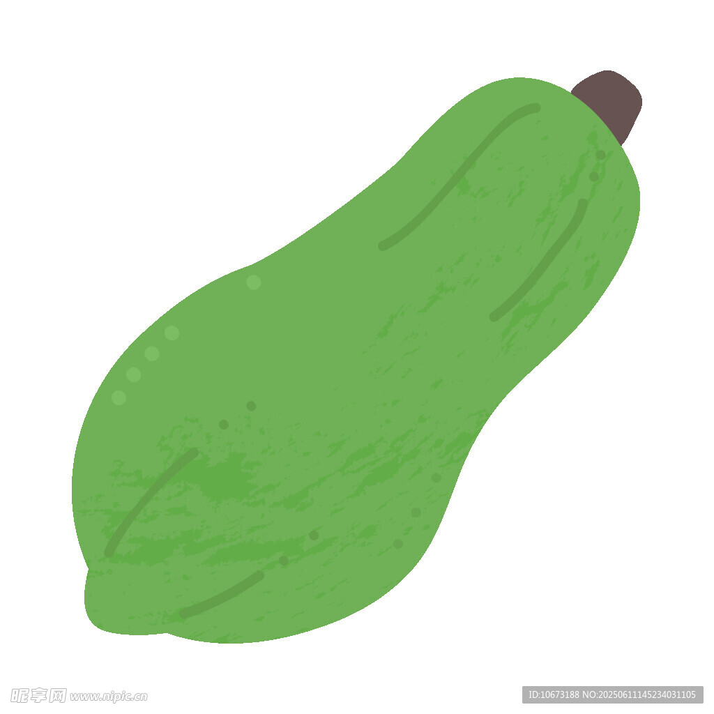 綠色西葫蘆插畫