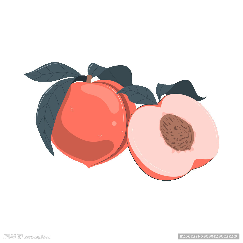 兩個鮮桃插畫