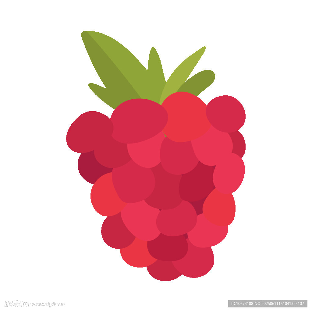 卡通樹莓插畫