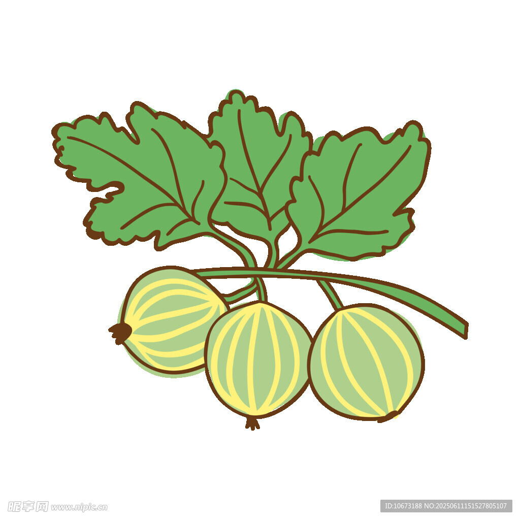 醋栗插畫