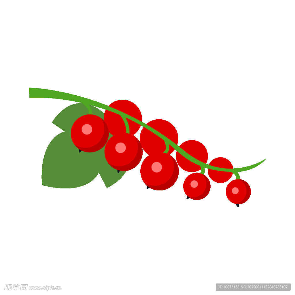 紅漿果插畫